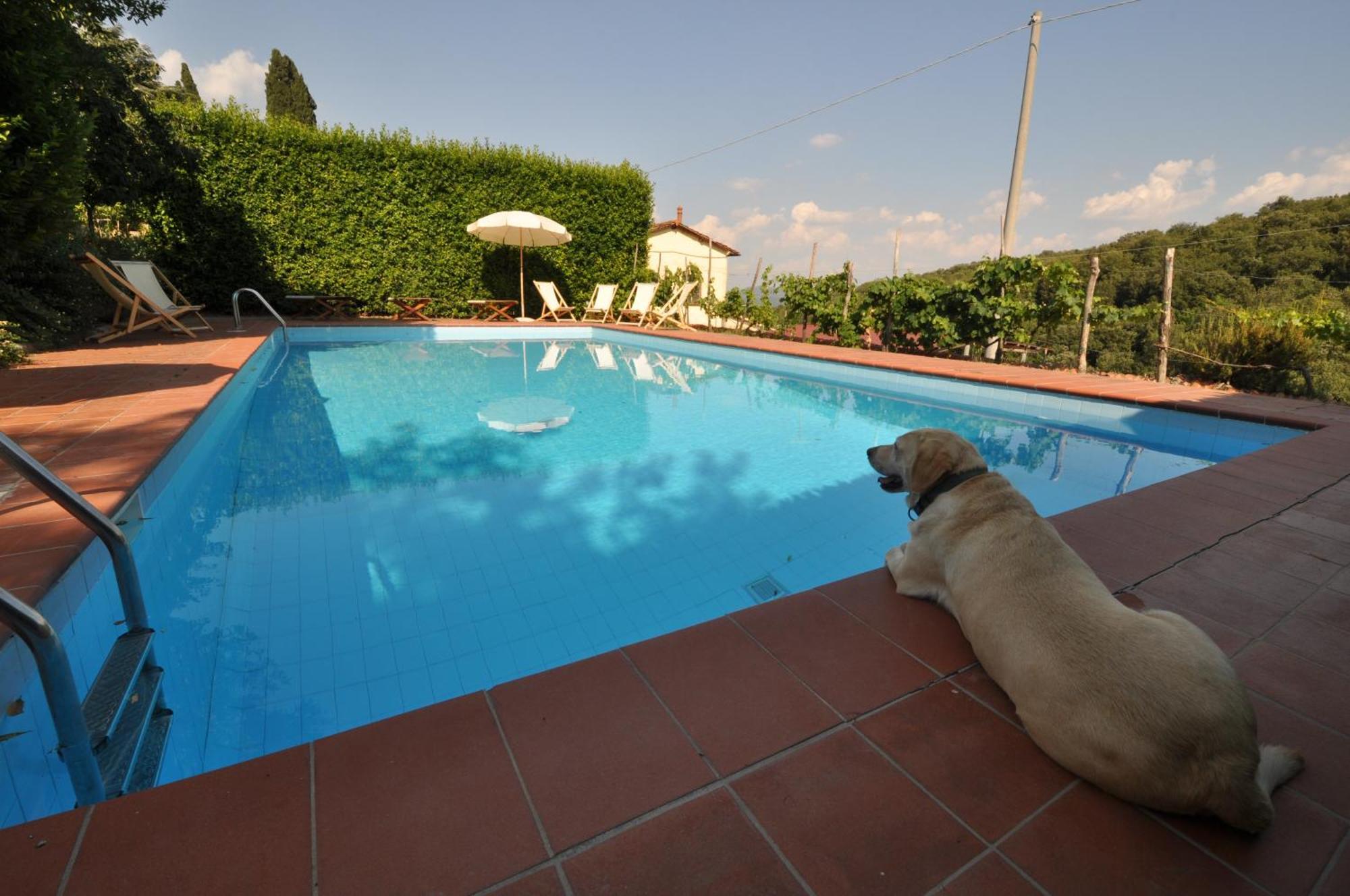 Petrolo Villa Bucine Buitenkant foto